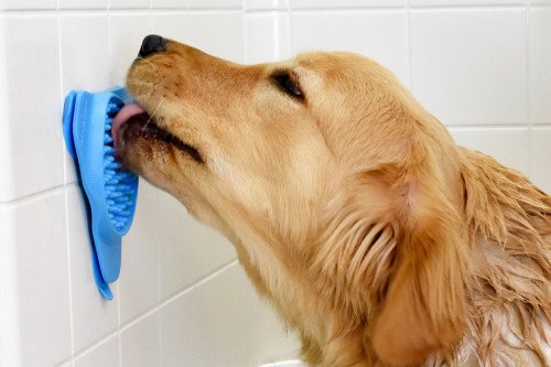 Превратите ужасное время купания вашей собаки во время угощения с помощью этой медленной кормушки!