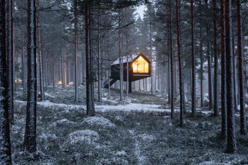 Эта салона повышена одной стойкой над плотным лесом Финляндии для захватывающего зимнего отдыха!